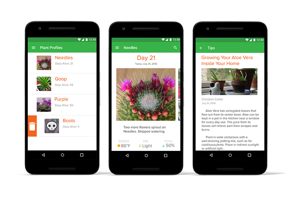 phone mockup of what jardin app would look like