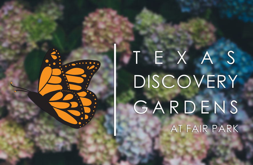 monarch butterfly with texas discover gardens at fair park logo.