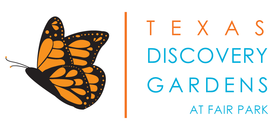 monarch butterfly with texas discovery gardens at fair park logo.